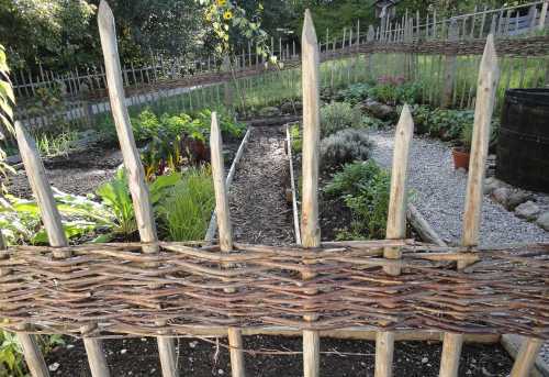 website template image